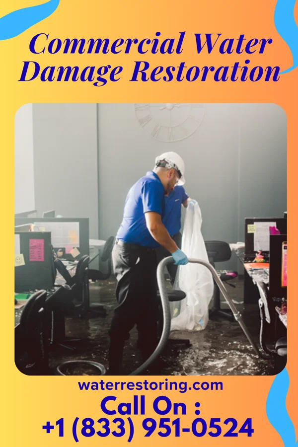 Commercial Water Damage Restoration in Starkville, CO